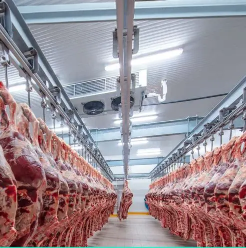 Meat Cold Room
