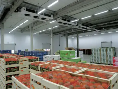 Vegetable Fruit Cold Storage Solution